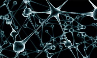 智能合约的核心执行原理与人工智能基础软件开发